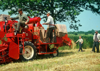 Herbstausstellung: Landleben in Schleswig-Holstein damals und heute