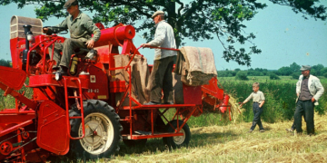 Herbstausstellung: Landleben in Schleswig-Holstein damals und heute