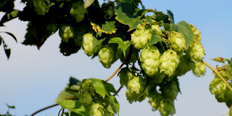 Zum Beruhigen und Herunterkurbeln