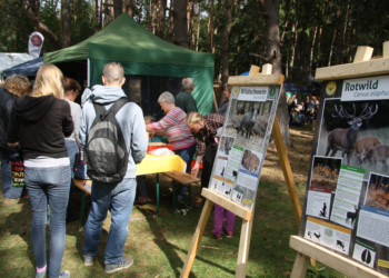Alles über Jagd, Wildtiere und Natur für die ganze Familie