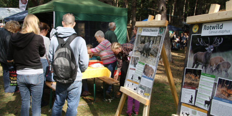 Alles über Jagd, Wildtiere und Natur für die ganze Familie