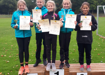 Leichtathletik: Mehrkampfmeisterschaften in Ratzeburg