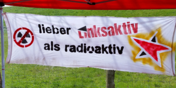 Linke: Rückbau AKW Krümmel? Ja – aber sicher!