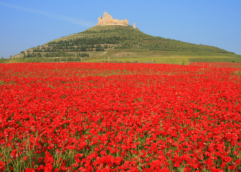 Multivisionsshow: ‚Der Jakobsweg – Spaniens schönster Wanderweg‘