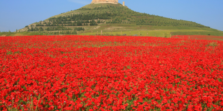 Multivisionsshow: ‚Der Jakobsweg – Spaniens schönster Wanderweg‘