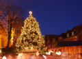Mölln sucht einen Weihnachtsbaum