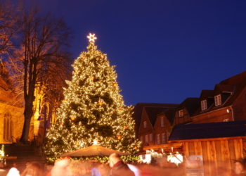 Mölln sucht einen Weihnachtsbaum