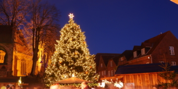 Mölln sucht einen Weihnachtsbaum