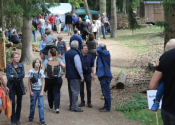 Grüne wollen eine Busverbindung zum Uhlenkolk
