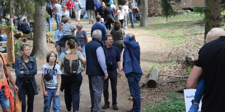 Grüne wollen eine Busverbindung zum Uhlenkolk