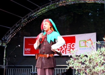 ‚Narren sind bunt und nicht braun!‘