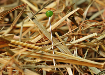 Themensamstag im Museum ‚vergessene Arbeit‘