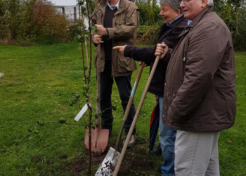 Obstbäume als Symbol für Wachstum und Lebenskraft gepflanzt