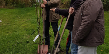 Obstbäume als Symbol für Wachstum und Lebenskraft gepflanzt