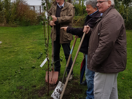 Obstbäume als Symbol für Wachstum und Lebenskraft gepflanzt