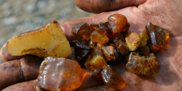 GeoPark Herbstferienprogramm – Steinreich in den Herbst