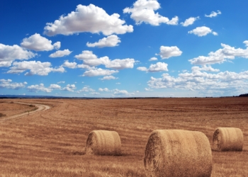 Dürrehilfe kommt nicht an