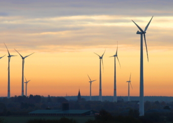 Ein kleines bisschen Liliput