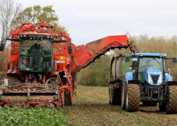 Die Zuckerrüben-Kampagne 2018/19 in Klinkrade