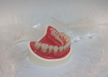 Aus dem Archiv: Dat verdreide Gebiss!