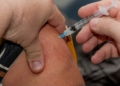 Impfung gegen Influenza dämmt Ausbreitung der Erkrankung ein