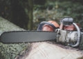 Vollsperrung wegen Baumpflegearbeiten zwischen Gudow und dem Kieswerk Segrahner Berg