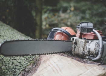 Vollsperrung wegen Baumpflegearbeiten zwischen Gudow und dem Kieswerk Segrahner Berg