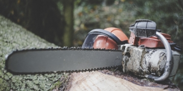 Vollsperrung wegen Baumpflegearbeiten zwischen Gudow und dem Kieswerk Segrahner Berg