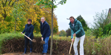 Zwei Winterlinden für Börnsen