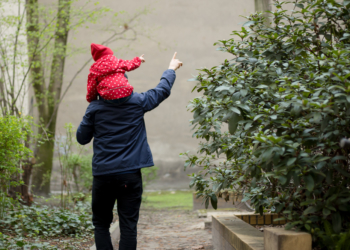 Kreis Herzogtum Lauenburg: 56 Prozent profitieren nicht von neuem Teilzeit-Gesetz