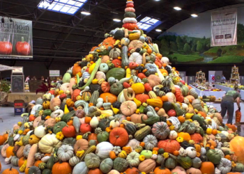 Doku-Dienstag: ‚Unser Saatgut – Wir ernten was wir säen‘ im Filmclub