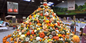 Doku-Dienstag: ‚Unser Saatgut – Wir ernten was wir säen‘ im Filmclub