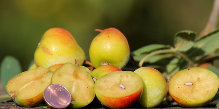 Von der Adria bis ins Herzogtum