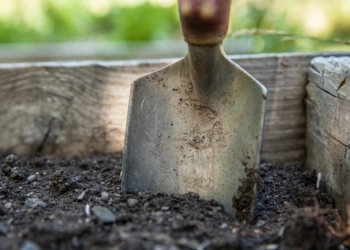 Gartengestaltung für die geflüchteten Familien in Groß Weeden