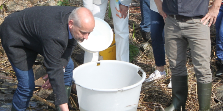Aufzuchtstation für den Europäischen Stör in Geesthacht ist planungsrechtlich auf gutem Weg und wird vom Bund gefördert