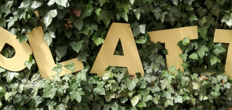 Talk op Platt – in Gülzow