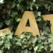 Talk op Platt – in Gülzow