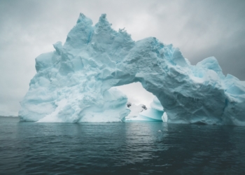 Doku-Dienstag: ‚Projekt: Antarktis‘ im Filmclub