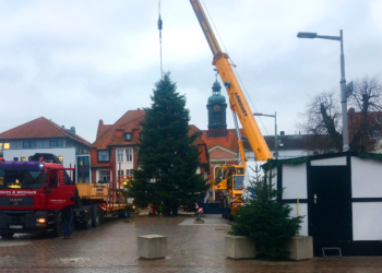 Weihnachtsbaum auf dem Ratzeburger Marktplatz kündigt von der nahen Adventszeit