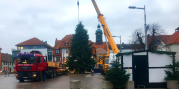 Weihnachtsbaum auf dem Ratzeburger Marktplatz kündigt von der nahen Adventszeit