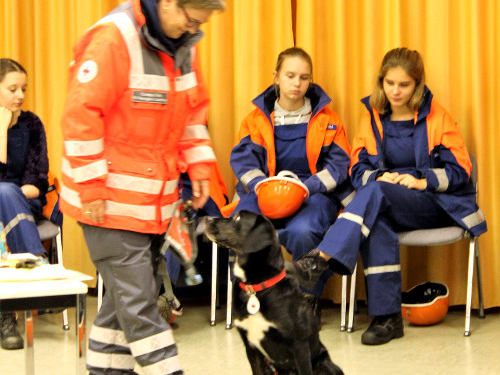 Tierischer Besuch bei der Jugendfeuerwehr Escheburg