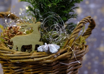Floristische Kreativ-Ecke im Advent
