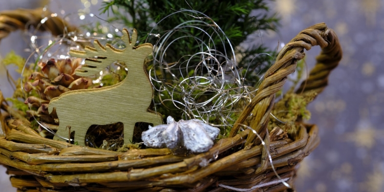 Floristische Kreativ-Ecke im Advent