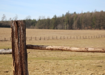Aus dem Archiv: Hans ohne Glück! Teil 1