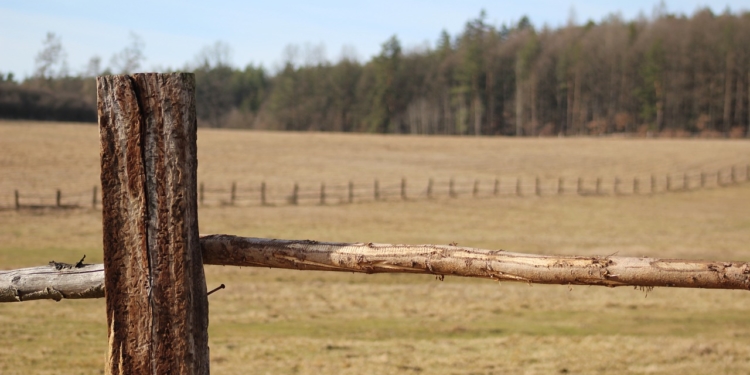 Aus dem Archiv: Hans ohne Glück! Teil 1