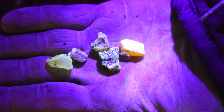 GeoPark Weihnachts- und Silvesterspecial: Der Strand leuchtet