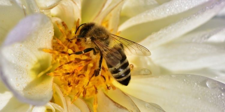 Aus dem Archiv: De perfekte Upkloorung