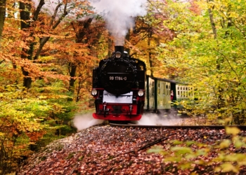 Aus dem Archiv: Familienläben: De Hamburger und de Gröönkohl! Tweete Deel