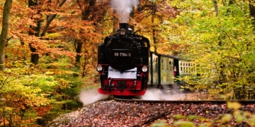 Aus dem Archiv: Familienläben: De Hamburger und de Gröönkohl! Tweete Deel