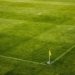 Homophobie und Sexismus im Fußball
